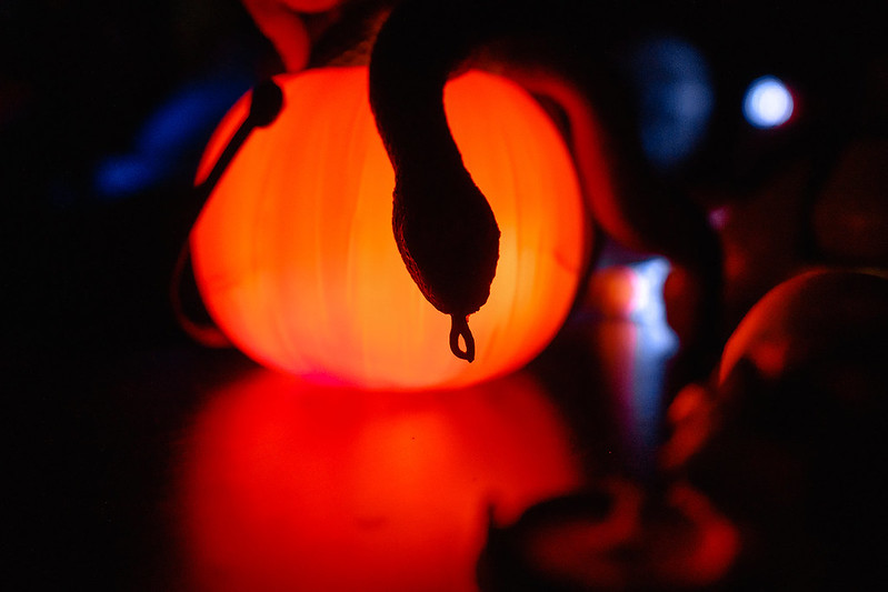 Украшение дома паутиной и летучими мышами к Хэллоуину в Запоріжжя